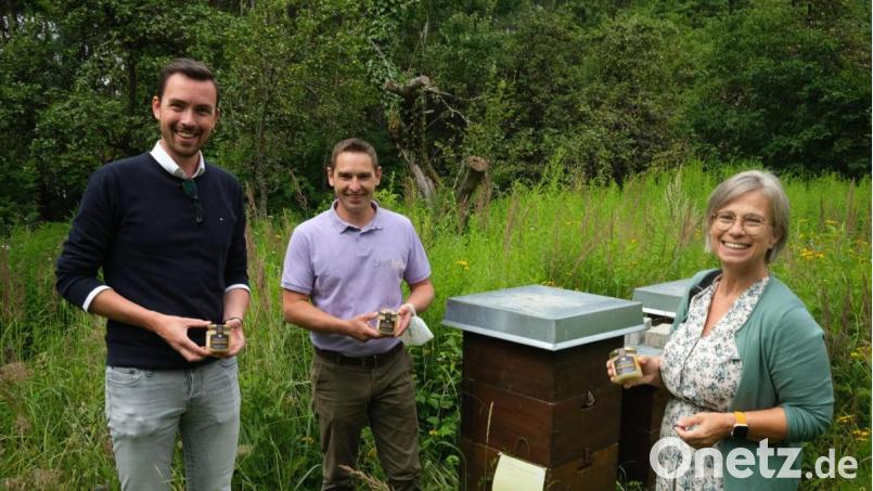 Dritte Bürgermeisterin Marion Juniec-Möller, Imker Georg Schwarz und der Leiter des Tourismusbüros, Johannes Lohrer (von rechts), präsentierten an den Bienenstöcken auf dem Weinberg den neuen "Schwandorfer Stadthonig". Bild: Hirsch