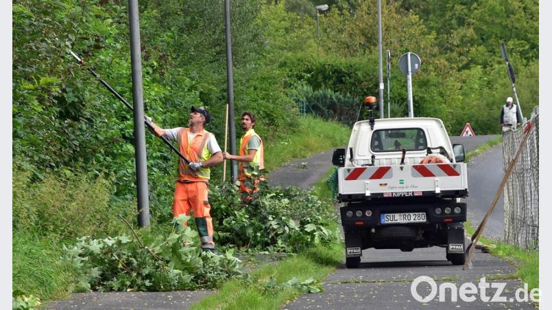 Die Stadtgärtnerei muss an Geh- und Radwegen sowie an Straßen immer wieder für das passende Lichtraumprofil sorgen. Bild: Andreas Royer
