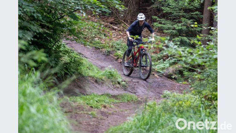 Mountainbiken auf Trails ist zur Trendsportart geworden. Auch im Landkreis Neustadt/WN sollen nun attraktive Routen entstehen. Symbolbild: Daniel Karmann/dpa