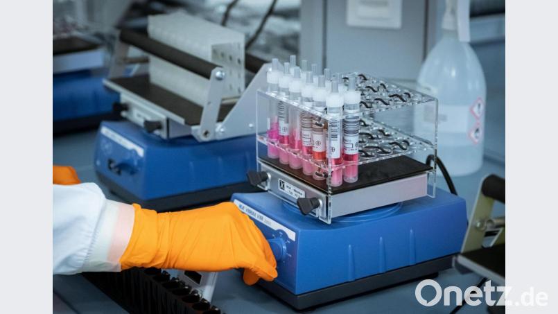 Coronatests bei der Auswertung im Labor. Symbolbild: Peter Steffen/dpa