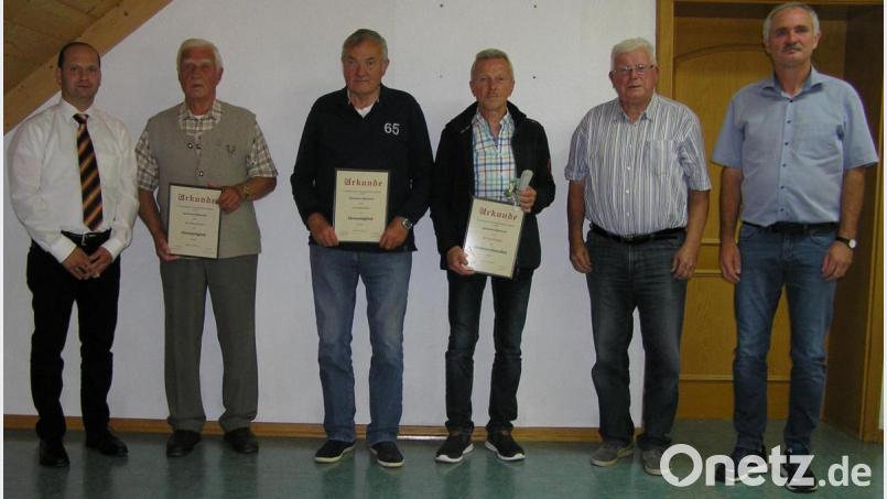 Oswald Geisler (Vierter von links) wurde in der Jahreshauptversammlung des SV Riglasreuth zum Ehrenvorsitzenden ernannt. Heinrich Heinl (rechts) überreichte ihm die Urkunde. Richard Stock (Zweiter von rechts) ernannte Egon Schraml und Rolf Heinl (Zweiter und Dritter von links) zu Ehrenmitgliedern. Vorsitzender Roland Heinl (links) beglückwünschte alle drei Geehrten. Bild: öt