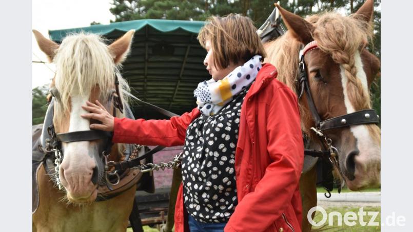 Rosi Polland macht mit den Frauen eine Kutschfahrt durch die Heide. Bild: hcz