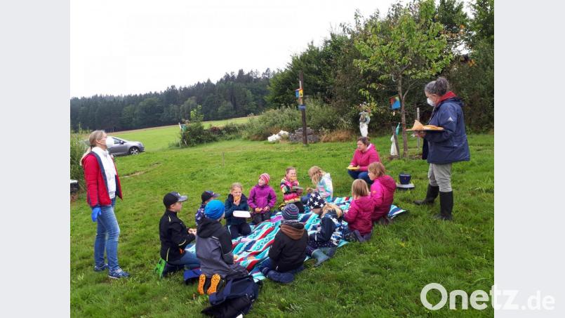 Picknick mit Pizza-Semmeln im „Schlupfwinkel“; nach einem Waldspaziergang waren die Kinder ausgehungert. Bild: Gemeinde Theisseil/exb