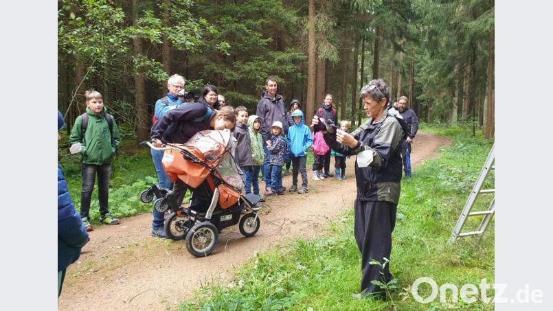 Zuerst kam eine Plüschfledermaus zum Einsatz, später zeigte Brigitte Schütze den Teilnehmenden einen Großen Abendsegler aus nächster Nähe. Bild: Susanne Götte/exb