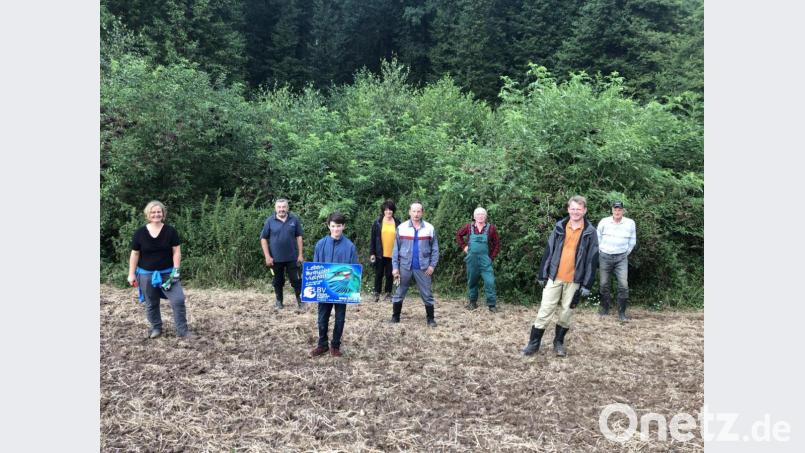 Die Hecke im Hintergrund gedeiht dank der Schutzmaßnahmen mittlerweile prächtig und muss nicht mehr durch einen Zaun geschützt werden. Bild: Ingrid Schrembs/exb