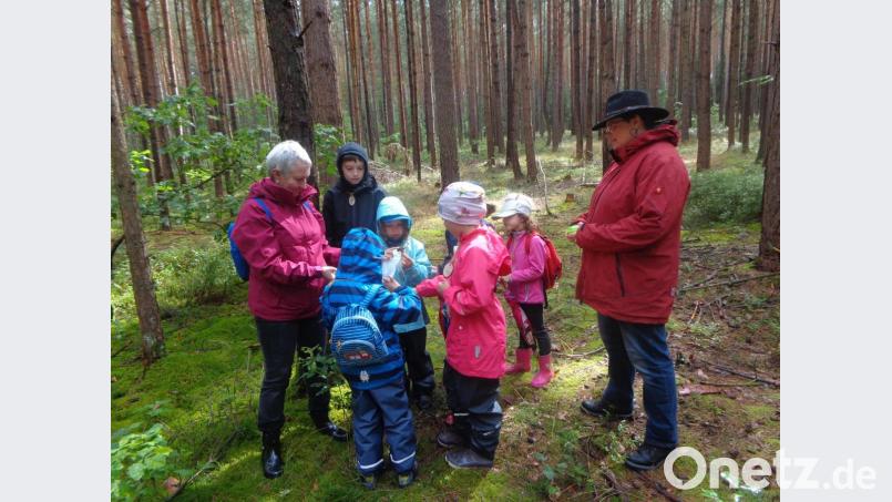 Walderkundung der Kinder mit der Interessengemeinschaft Luhe-Wildenau. Bild: Hannelore Quardokus/exb