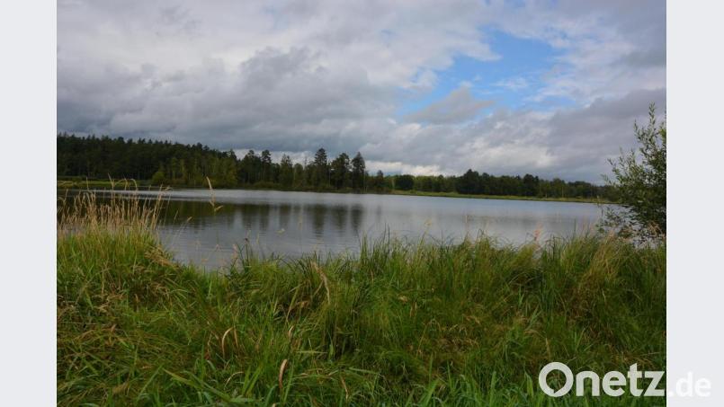 Herrlich anzuschauen ist die Kulturlandschaft der Waldnaabaue bei Tirschenreuth. Bild: jr