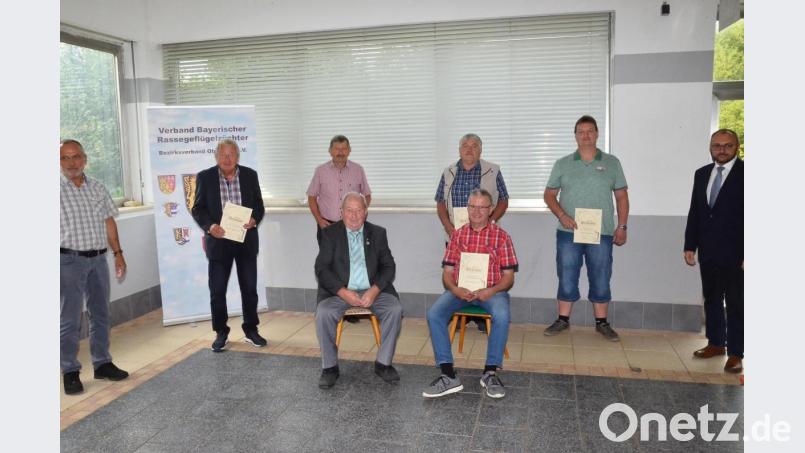 Im Bezirksverband Oberpfalz gibt es durch (mit Urkunden von links) Herbert Pilhofer, Oswald Pilhofer, Ernst Zimmermann, Gerhard Lang senior und Thomas Gühl neue Träger der goldenen Bundesnadel. Bild: fjo