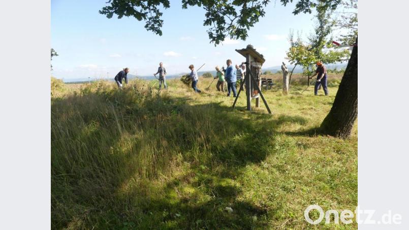 Den Jahresgrasschnitt erhielt die Streuobstanlage an der Hohen Straße. Bild: rn