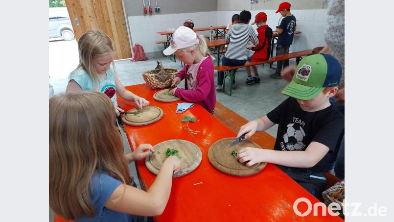Beim Ferienprogramm des Obst- und Gartenbauvereins sammelten die Kinder verschiedene Kräuter und verarbeiteten sie zu einem Brotaufstrich. Bild: Sophie Köstler/exb