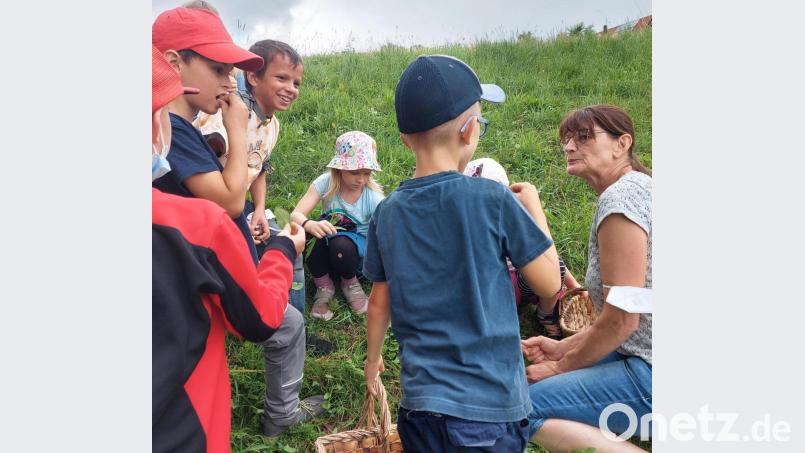 Der Obst- und Gartenbauverein hatte die Kinder zu einer Kräuterwanderung eingeladen. Bild: Sophie Köstler/exb