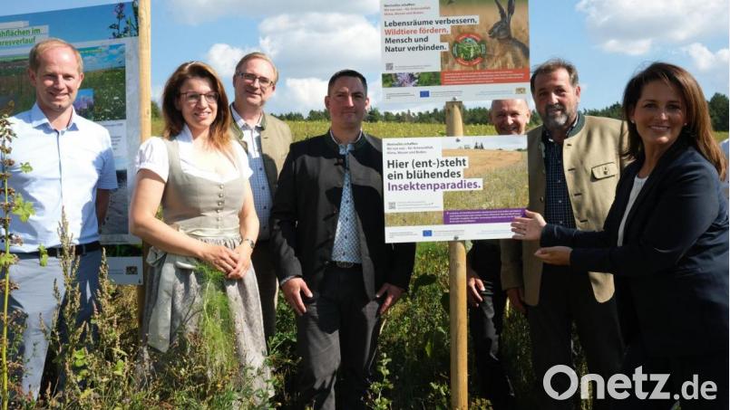 Landwirtschaftsministerin Michaela Kaniber (rechts) brachte am Feldrand Schilder an, die auf das „blühende Insektenparadies“ und die Lebensräume für Wildtiere hinweisen. Von links: Bürgermeister Konrad Kiener, Bundestagskandidatin Martina Engelhardt-Kopf, BJV-Kreisgruppenvorsitzender MdL Alexander Flierl, Hegegemeinschaftsleiter Stefan Leitl, Landwirt Oskar Reis und Wildlebensraumberater Balduin Schönberger. Bild: Hirsch