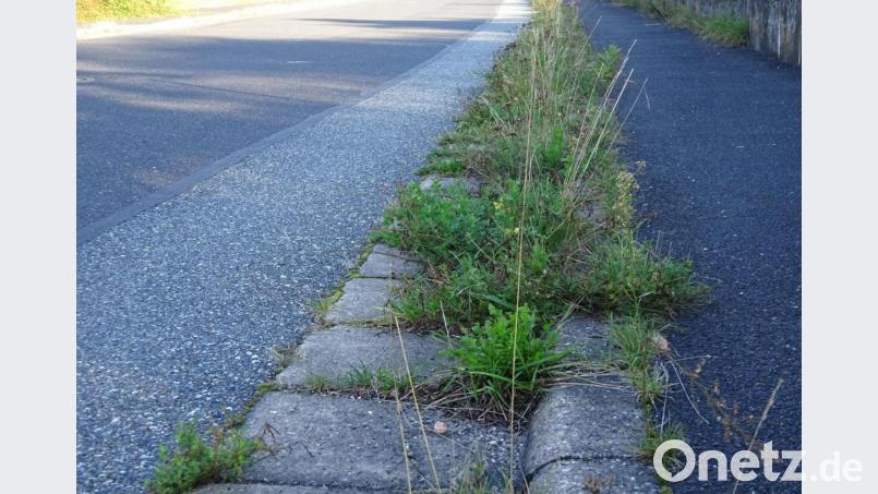 Eigentümer und Nutzungsberechtigte haben Pflichten, was Pflanzungen im öffentlichen Verkehrsraum betrifft, dazu gehört auch die Reinhaltung von öffentlichen Straßen und Gehwegen durch Entfernung von wucherndem Unkraut. Bild: e