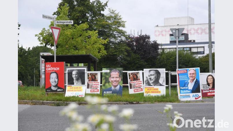 Der Schilderwald mit Plakaten zur Bundestagswahl an der Ecke zwischen Aichinger- und Christian-Seltmann-Straße in Weiden. Bild: Gabi Schönberger