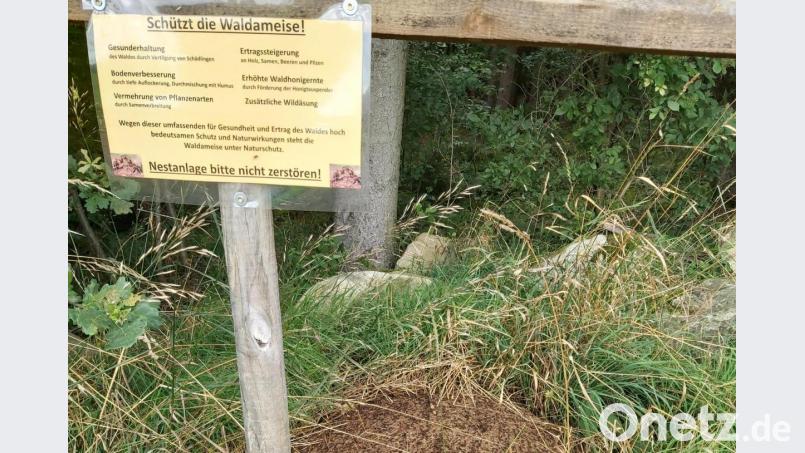 Des is a guade Idee, hã? Das Hinweisschild hat der Autor in der heimischen Flur entdeckt. Bild: slu
