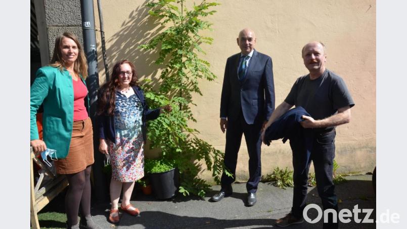 Naturfilmer Thomas Stock (rechts) präsentierte den Gründen-Vertretern, Stadträtin Laura Weber, Bundestagskandidatin Anne Droste und MdL Jürgen Mistoll seinen Insektenfilm. Bild: Kunz