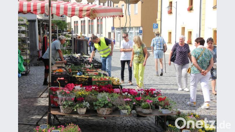 Pflanzen aller Art durften auf dem Markt nicht fehlen. Bild: kro