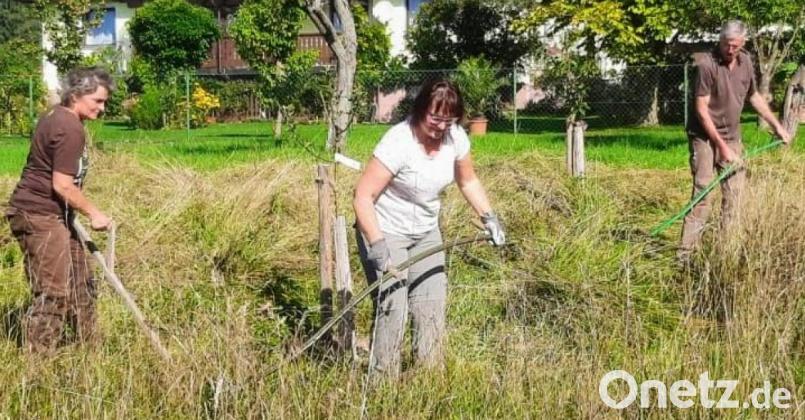 Die Teilnehmer sorgten dafür, dass die halbe Fläche der Streuobstwiese ökologisch gemäht wurde. Bild: fdl