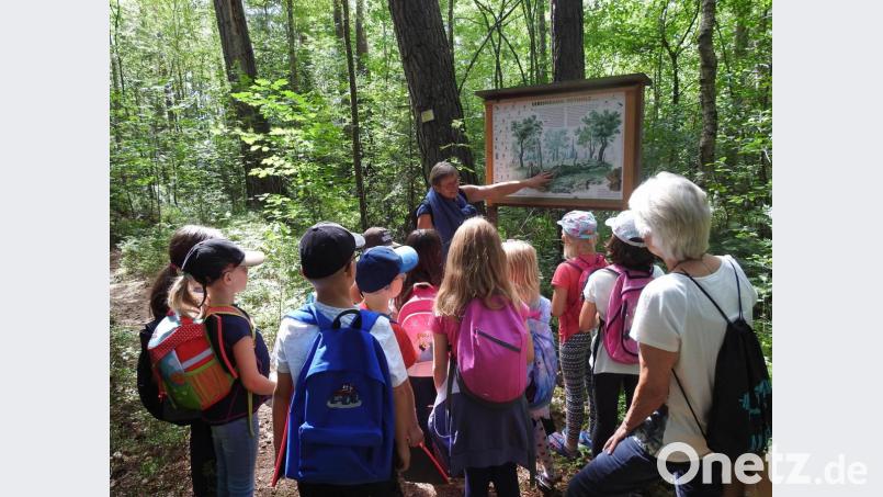 Erkundung im Wald: Die Natur-Themen kamen bei den Kindern gut an. Bild: Regina Baumann./exb