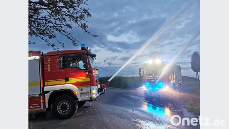 Leistungsstarke Löschtechnik steckt in den beiden &quot;Tanklöschfahrzeug-Zwillingen&quot;. Darunter zählen auch die Frontwerfer, welche per Steuerung aus der Fahrerkabine auch während der Fahrt bedient werden können. Bild: mde