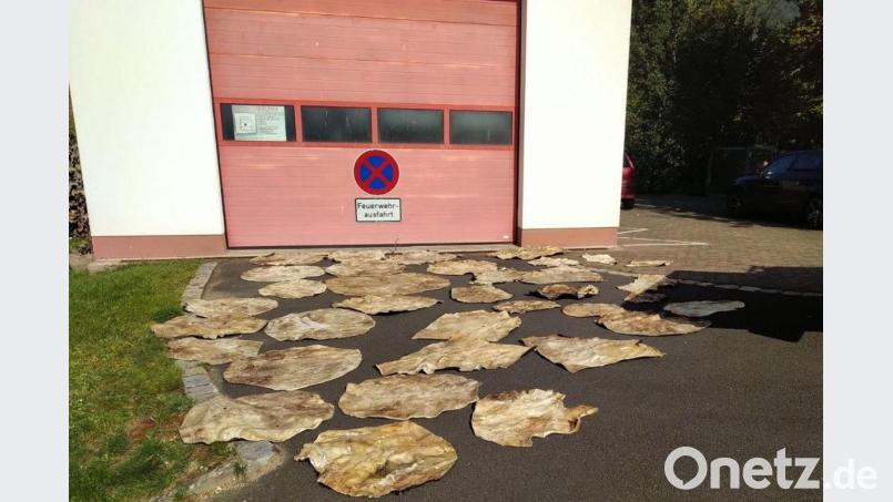 Tierhäute liegen vor dem Feuerwehrhaus von Wernarz, einem Ortsteil von Bad Brückenau. Foto: -/Stadt Bad Brückenau/dpa Bild: -