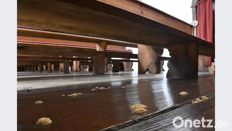 Der hölzerne Boden im Gestühl der St.-Anna-Kirche ist übersät mit kleinen, gelblichen Häuflein: Sie sind ein untrügerisches Zeichen dafür, dass sich die Larve des Gemeinen Nagekäfers durch das Holz frisst und es zerstört. Kühle und feuchte Räume wie in einer Kirche begünstigen die Entwicklung der Larven. Bild: Petra Hartl