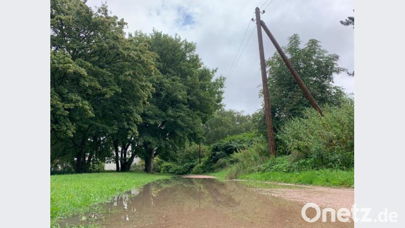 Üppiges Grün und große Pfützen, so wird der August 2021 vielen in Erinnerung bleiben. Bild: David Frahnow/exb
