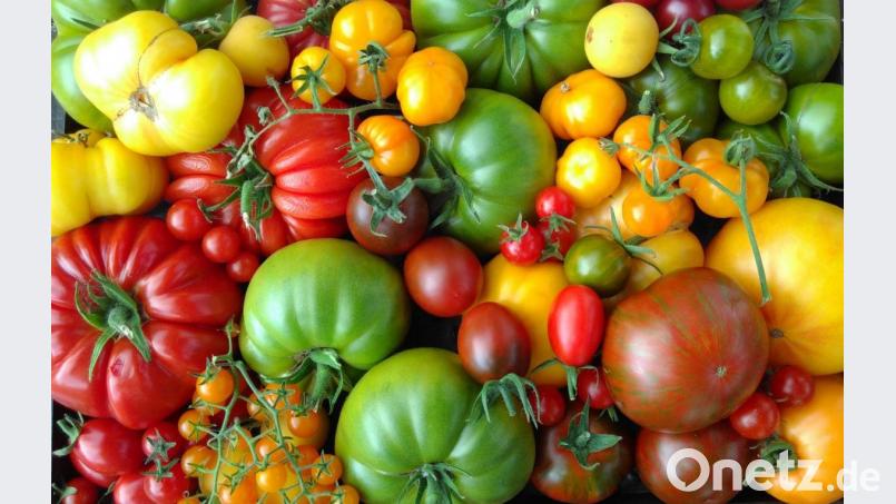 Christl Obermeier setzt bei ihren Gerichten auf die Verwendung verschiedener Tomatensorten. Bild: Christl Obermeier
