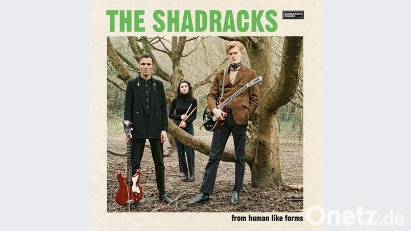Shadracks Bild: Shadracks