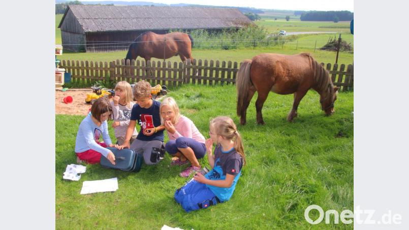 Ferienbetreuung in Remmelberg im Rahmen des Ferienprogramm des Stadtjugendring Weiden. Bild: Ulrike Simmerl
