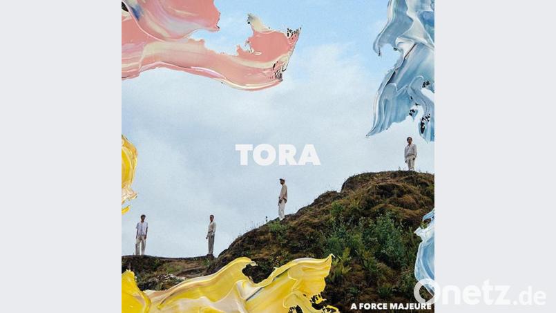 tora Bild: tora