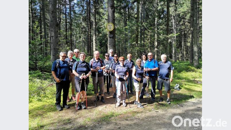 Die Walker bei der Pröllerrunde im Bayerischen Wald. Bild: Wolfgang Graser/exb