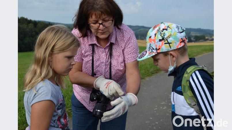 Viel zu entdecken gab es für die Mädchen und Buben am Wegrand. Diplom-Biologin Mathilde Müllner erklärte ihnen die Tierchen und Blumen. Bild: gi