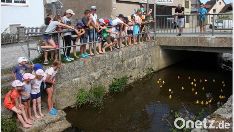 Die Gemeindestraße &quot;Am Netzbach&quot; und das gleichnamige Fließgewässer wurden zum Schauplatz eines spannenden Wettkampfs, zu dem die Junge Union im Rahmen des Ferienprogramms eingeladen hatten. Bild: wro