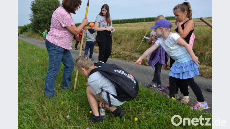 Viel zu entdecken gab es für die Mädchen und Buben am Wegrand. Diplom-Biologin Mathilde Müllner erklärte ihnen die Tierchen und Blumen. Bild: gi