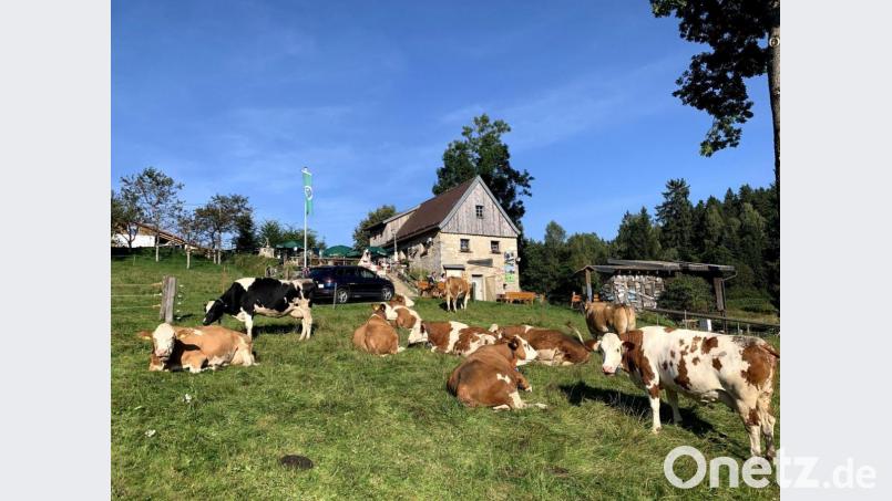 Tierwohl in freier Natur. Bild: pi