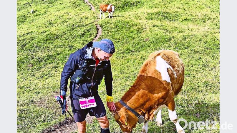 Auch eine Kuh interessierte sich in den Alpen für den Extremläufer Thomas Walther. Bild: Thomas Walther/exb