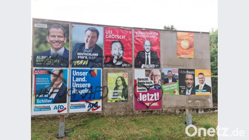 Viele Plakate zur Bundestagswahl wurden im Stadtgebiet verunstaltet. Die Ortsverbände haben Anzeige erstattet. Bild: sne