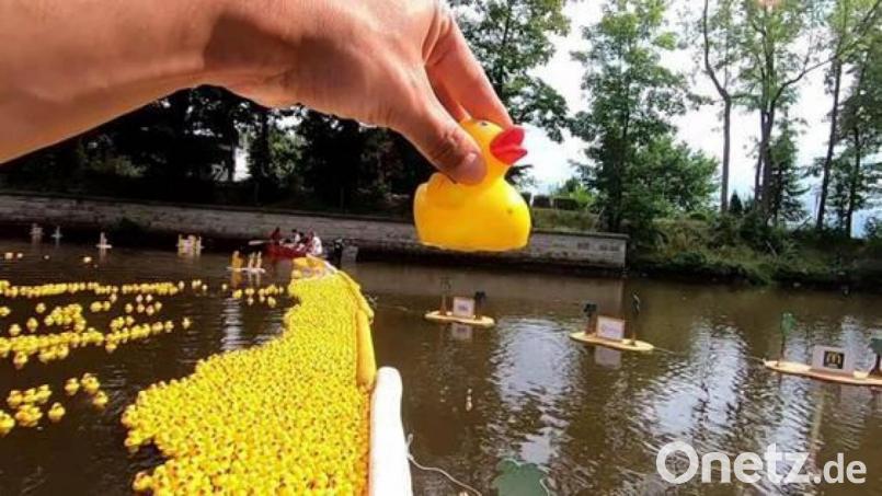 Auf die Plätz, fertig, los! Die Enten schwimmen den Flutkanal hinab. Bild: Round Table 49