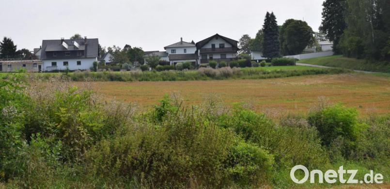 Für das neue Wohnbaugebiet "G'steibat" mit seinen 24 Parzellen in Mendorferbuch plant der Marktes Hohenburg im Oktober den Spatenstich. Bild: bö