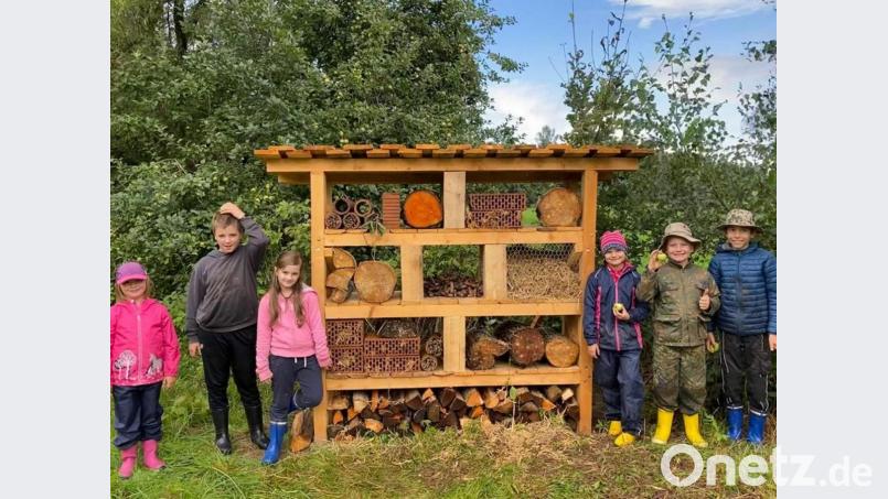 Einen mietfreien Wohnblock für wilde Bienen, Hummeln und Schlupfwespen richten die &quot;Spatzen&quot;-Kinder der Trabitzer LBV-Jugend an der Streuobstwiese im Grünbachtal ein. Bild: bjp