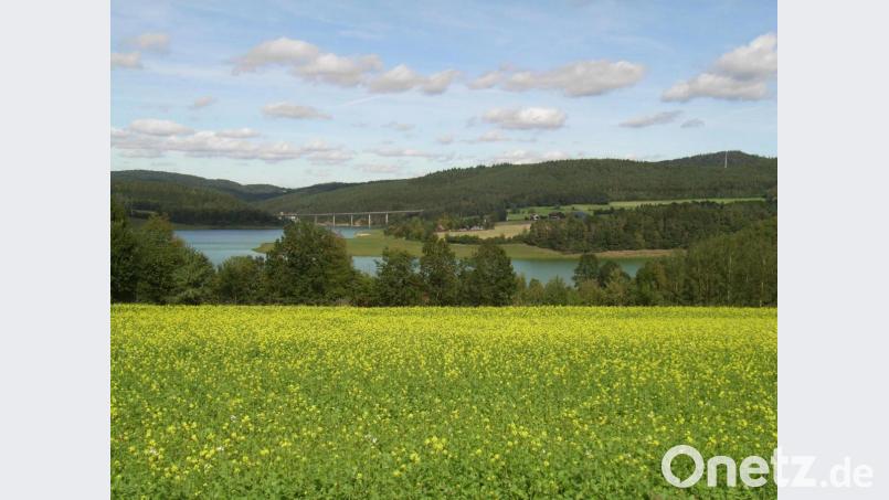 Wanderungen am Eixendorfer Stausee gehören zum Angebot des VHS-Verbunds im Landkreis Schwandorf. Bild: Thomas Schaller