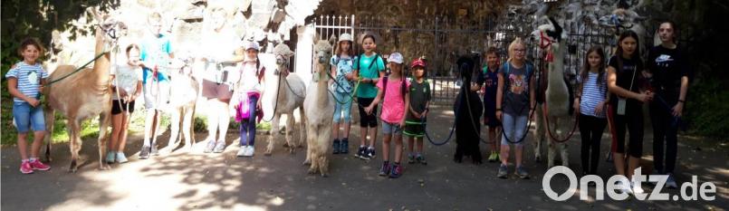 Eine Wanderung zur Lourdes-Grotte bei Waldsassen machten im Neusorger Ferienprogramm mit den Lamas und Alpakas vom Elfenteich die Kinder aus Neusorg. Bild: öt