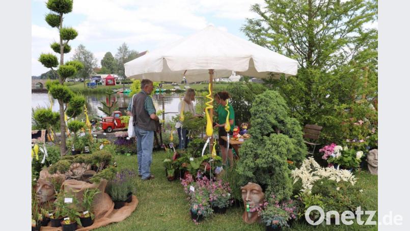Impression von den Gartentagen 2018 Bild: Stadt Tirschenreuth/exb