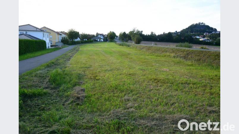 Die Grünfläche wird das neuen Baugebiet "Grün – Weidener Straße" . Der Radweg (links) wird zur Weidener Straße (rechts) hin verlegt. Künftig wird es dort dann einem gemeinsamen Geh- und Radweg geben. Außerdem wird auf der Straßenseite entlang der neuen Häuser ein Parkstreifen angelegt. Die Bewohner der Häuser haben einen Blick auf die Bergkapelle (rechts, hinten). Bild: bey