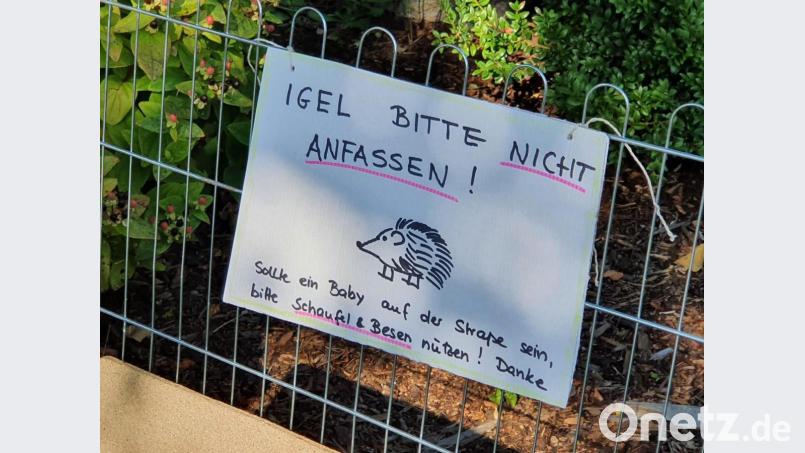 Keinesfalls anfassen! Die Besitzer des Anwesens geben auf dem Plakat an der Absperrung die richtigen Hinweise! Bild: ld