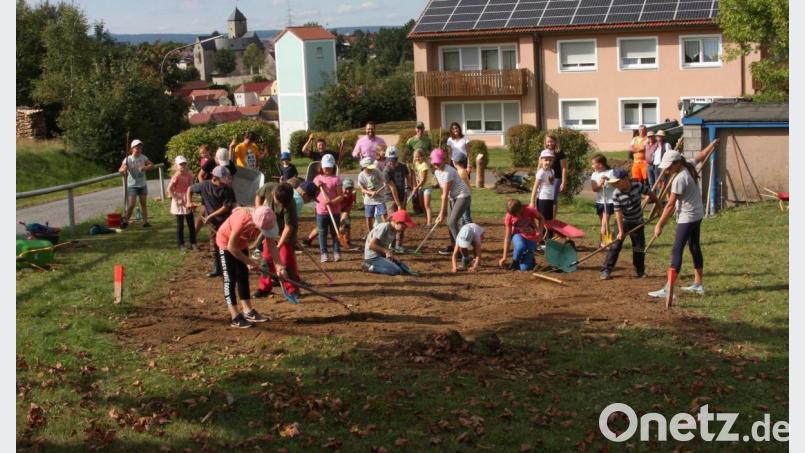 Am letzten Ferientag entstand eine von den Falkenberger Imkern angeregte Blühwiese. Geleitet wurden die Arbeiten vom Vorsitzenden Matthias Gibhardt (hintere Reihe, Zweiter von links). Bild: wro