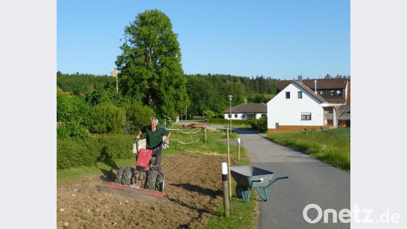 Auf Initiative von Hans Leis ist durch ein Pprojekt der Freiwilligenagentur Amberg in Schnellersdorf (Edelsfeld) ein insektenfreundlicher Blühstreifens am Wegesrand entstanden. Leis kümmert sich um die Pflege der Fläche. Bild: ads