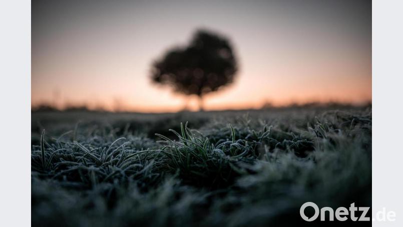 Bodenfrost ist in den kommenden Tagen möglich. Symbolbild: Fabian Strauch/dpa