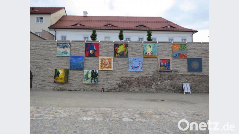 Diese zwölf Kunstwerke von Mitgliedern des Kunstvereins Tirschenreuth sollen am Sonntag bei einer Kunstauktion den Besitzer wechseln. Wer sich Kunst ins Haus holen möchte, ist herzlich zum Mitmachen eingeladen. Bild: ubb